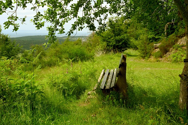 和俱乐部之 和俱乐部之