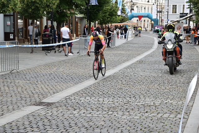 任何华丽的 任何华丽的