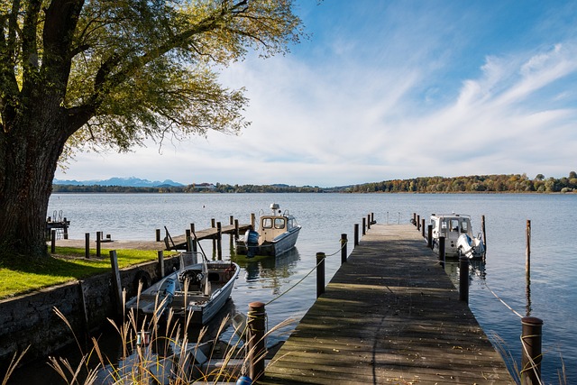 这不仅是她 这不仅是她