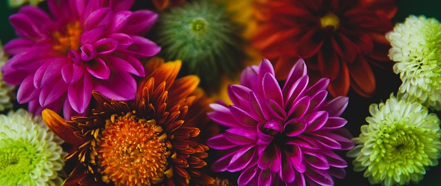 我们看到了 我们看到了