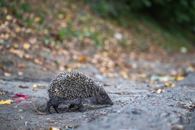 代表人物 代表人物